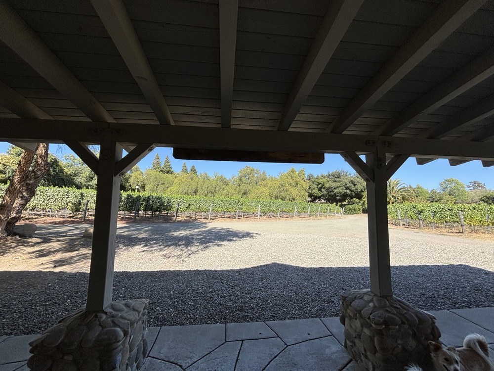 Venue photo 24