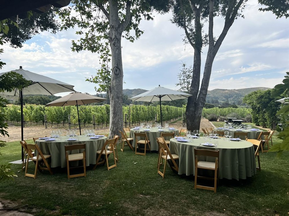 Venue photo 13