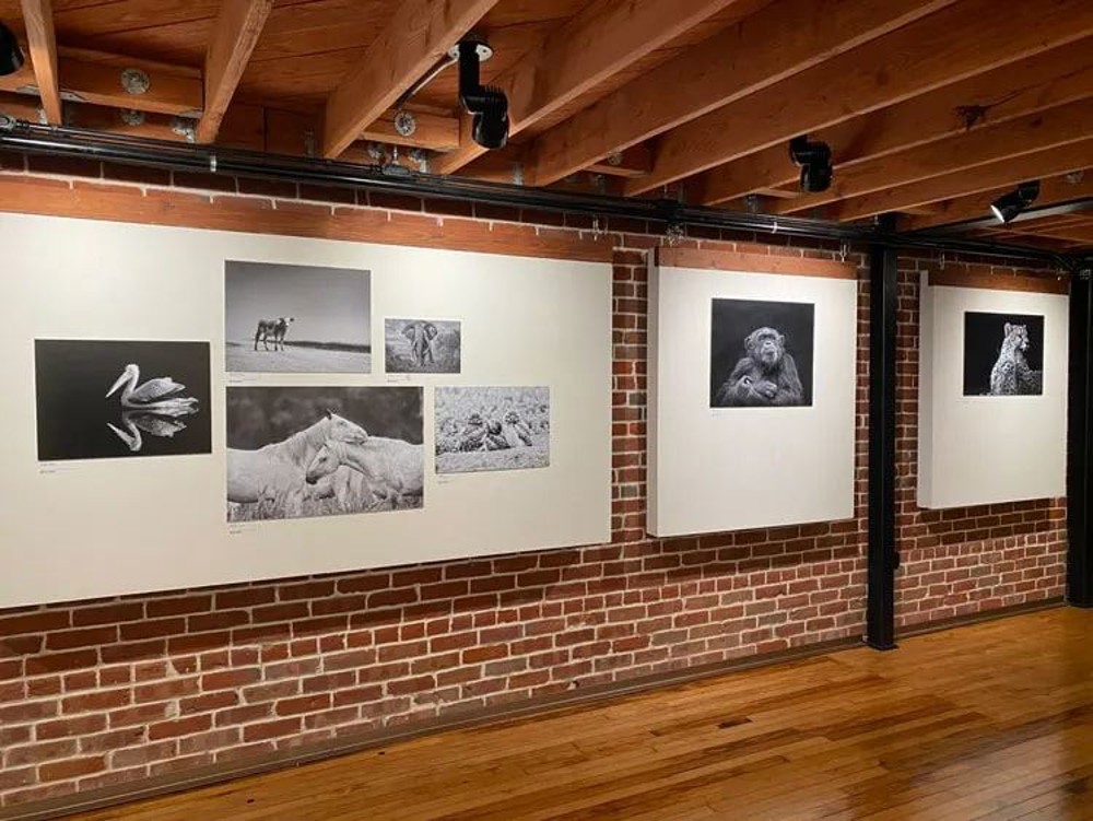 Venue photo 5