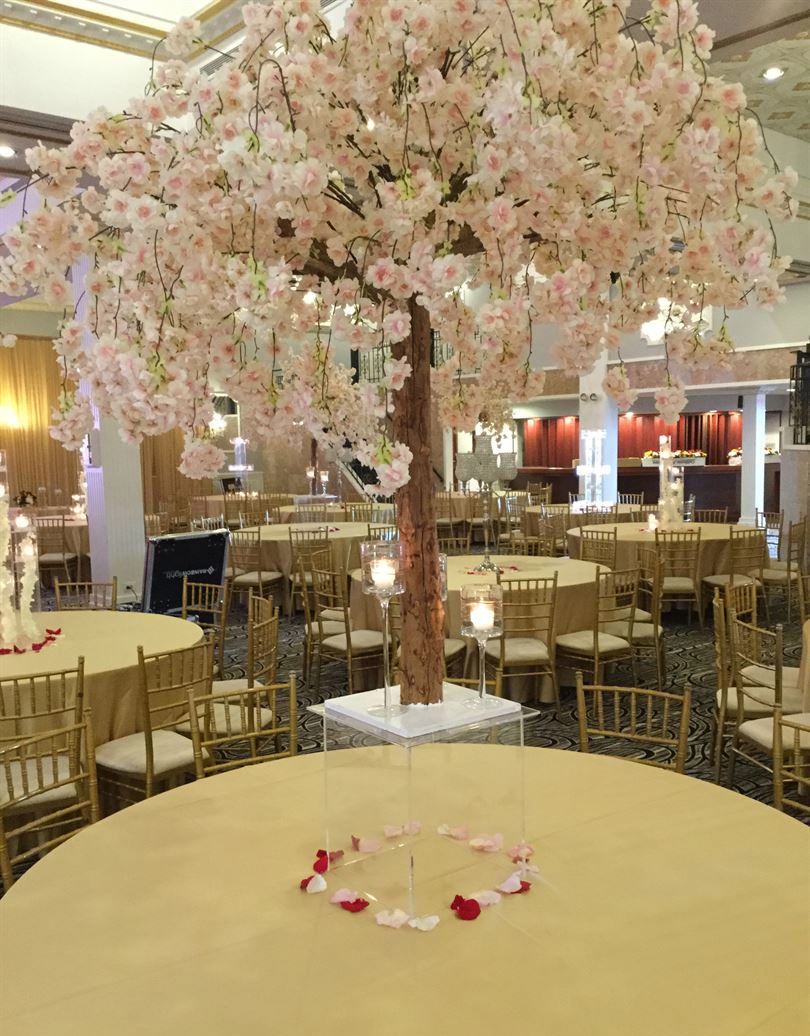 Venue photo 5