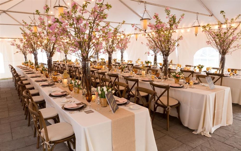 Venue photo 4