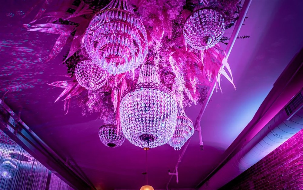 Venue photo 10
