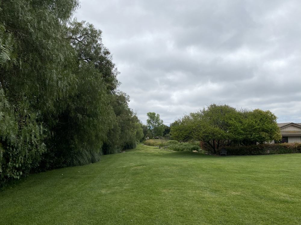 Venue photo 15