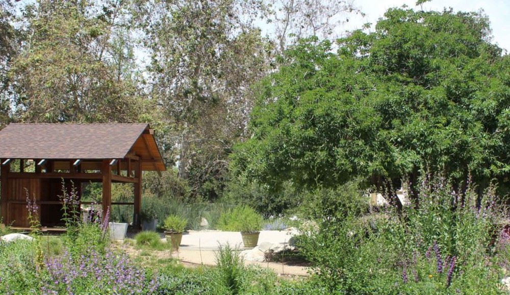Venue photo 8