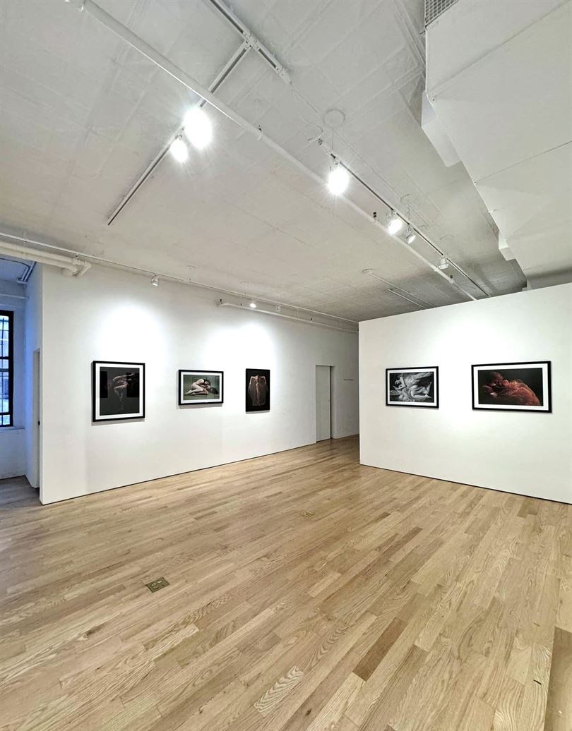 Venue photo 13