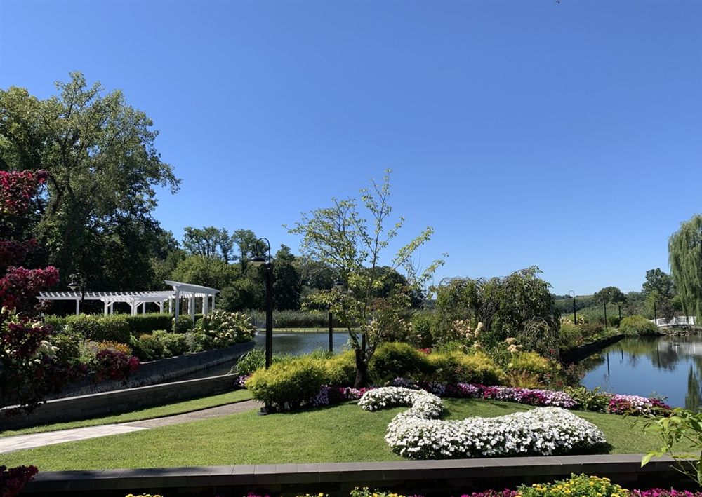 Venue photo 12