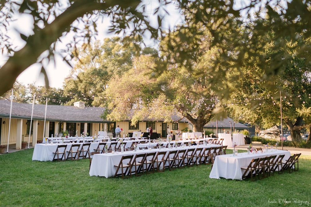 Venue photo 9