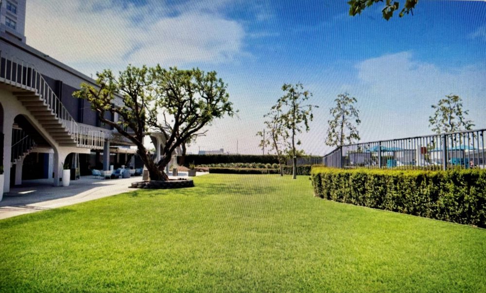 Venue photo 7