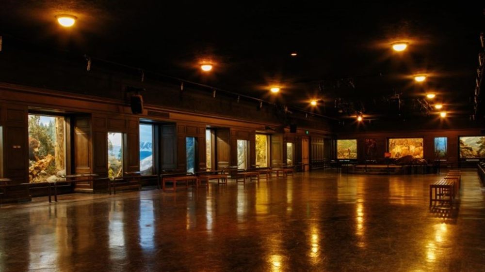 Venue photo 11
