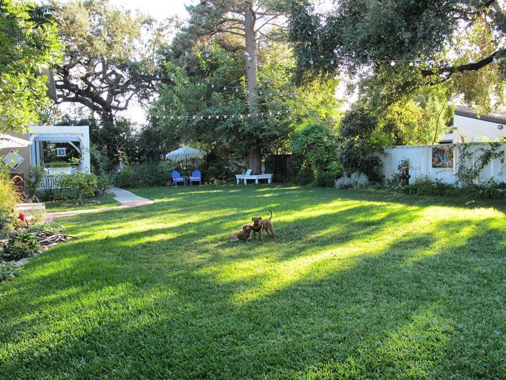 Venue photo 7