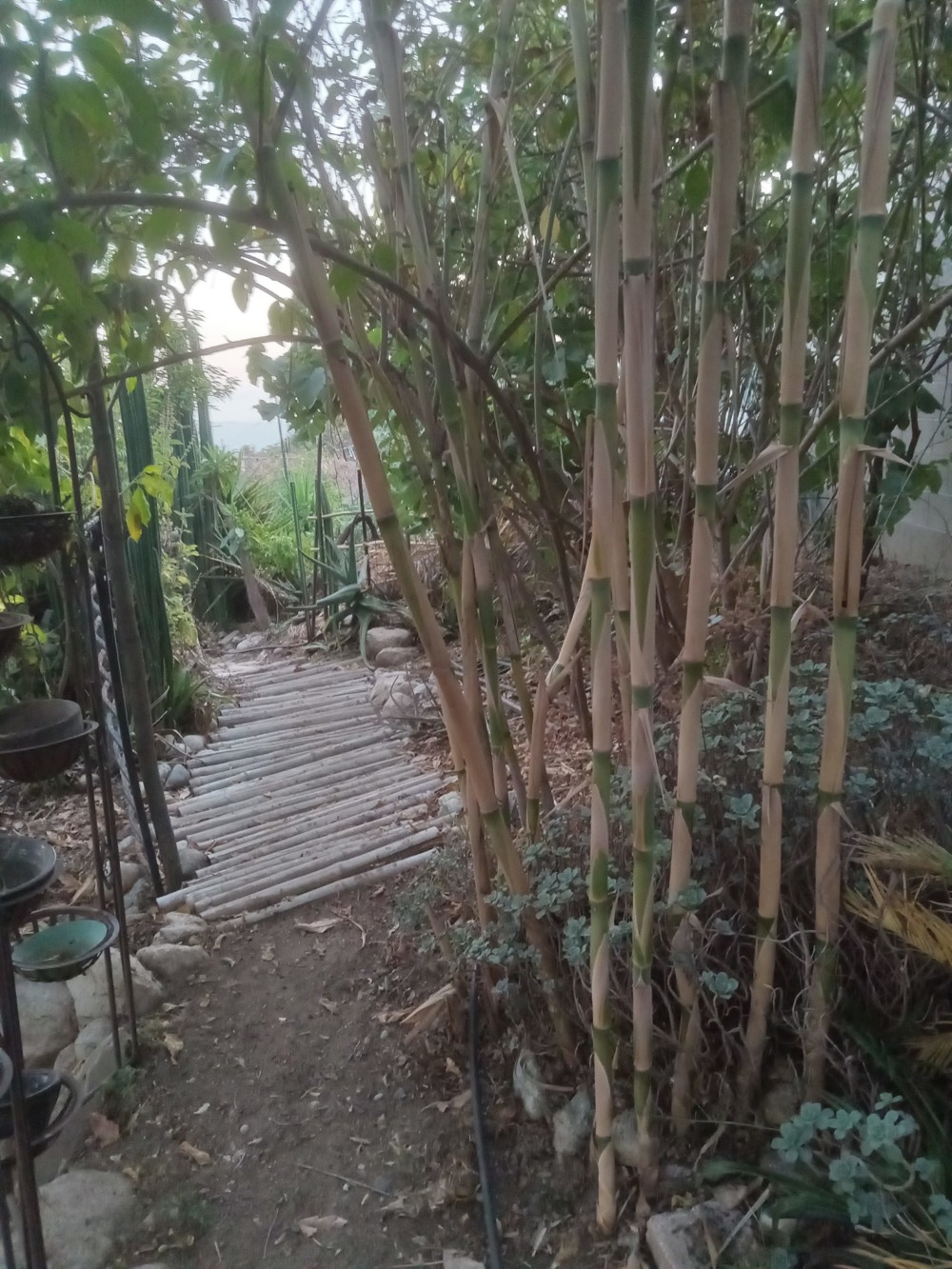 Venue photo 23