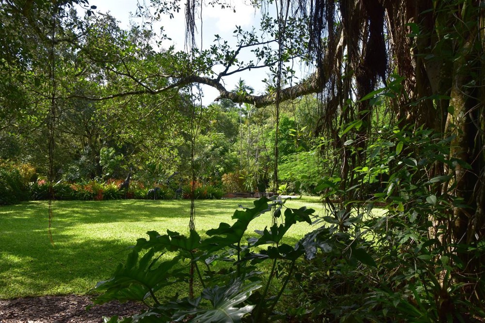 Venue photo 52