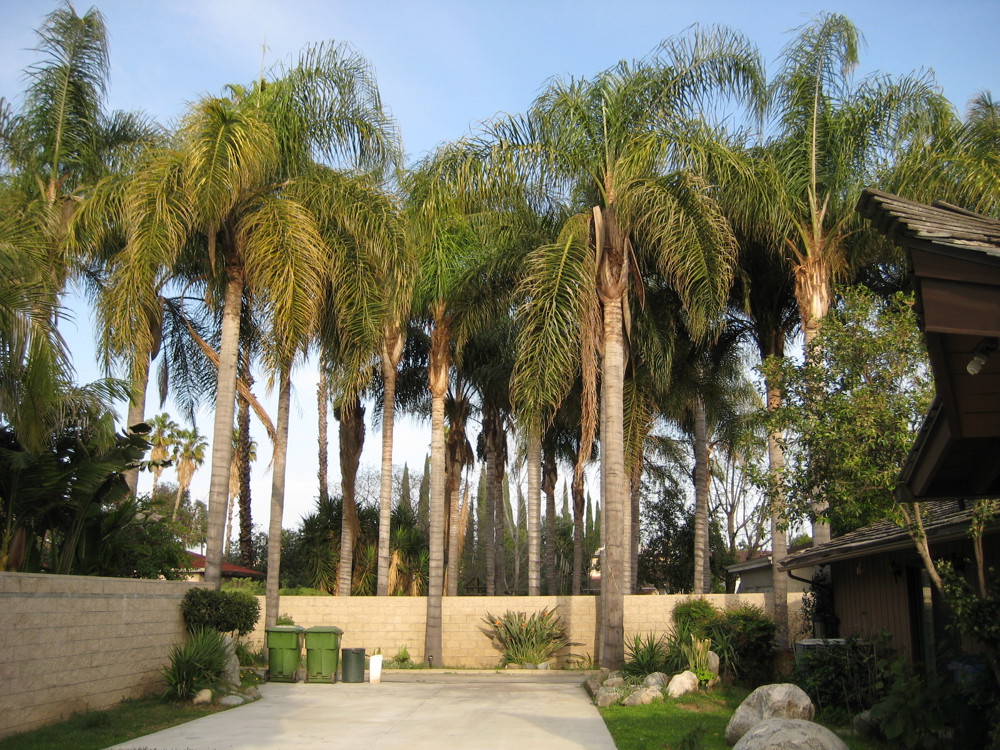 Venue photo 4