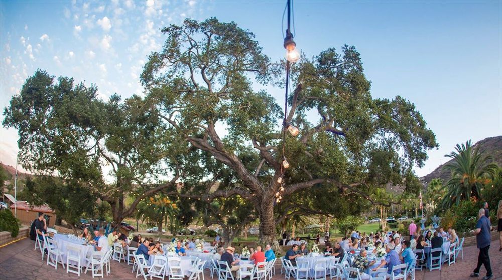 Venue photo 3