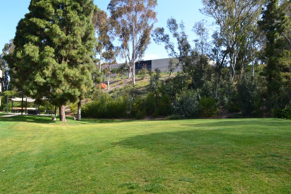 Venue photo 9