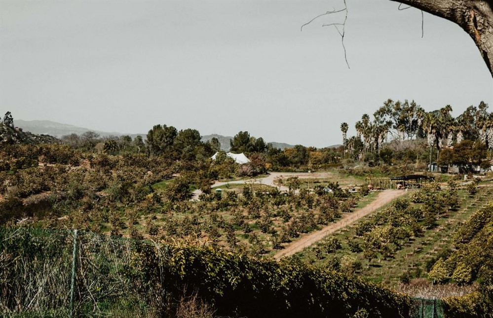 Venue photo 6