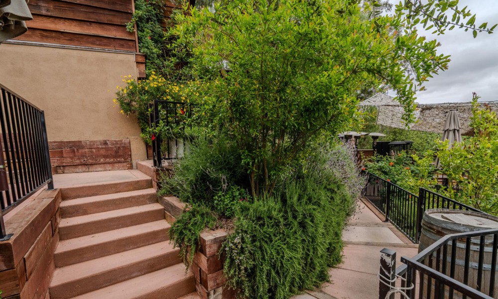 Venue photo 25