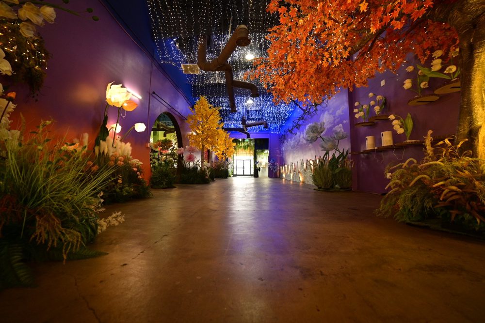 Venue photo 8