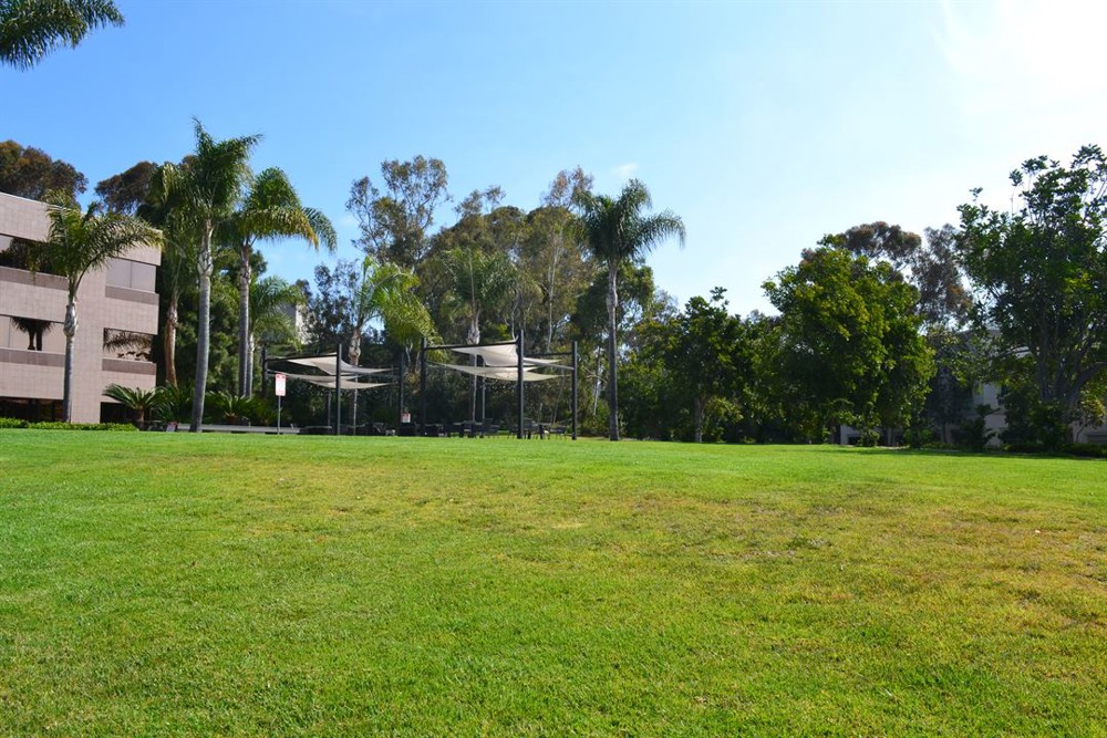 Venue photo 8