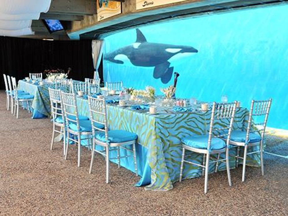 Venue photo 1