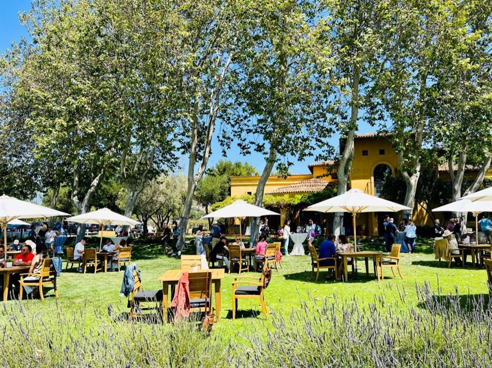 Venue photo 9