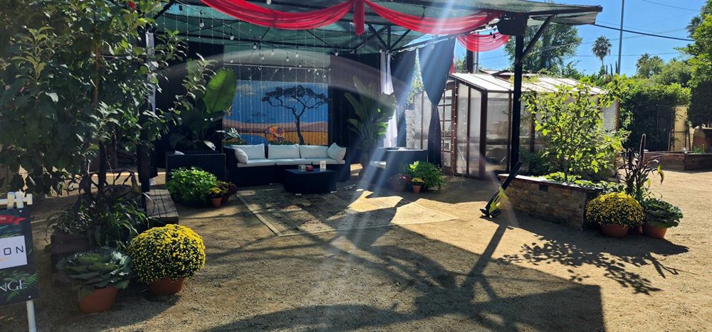 Venue photo 14