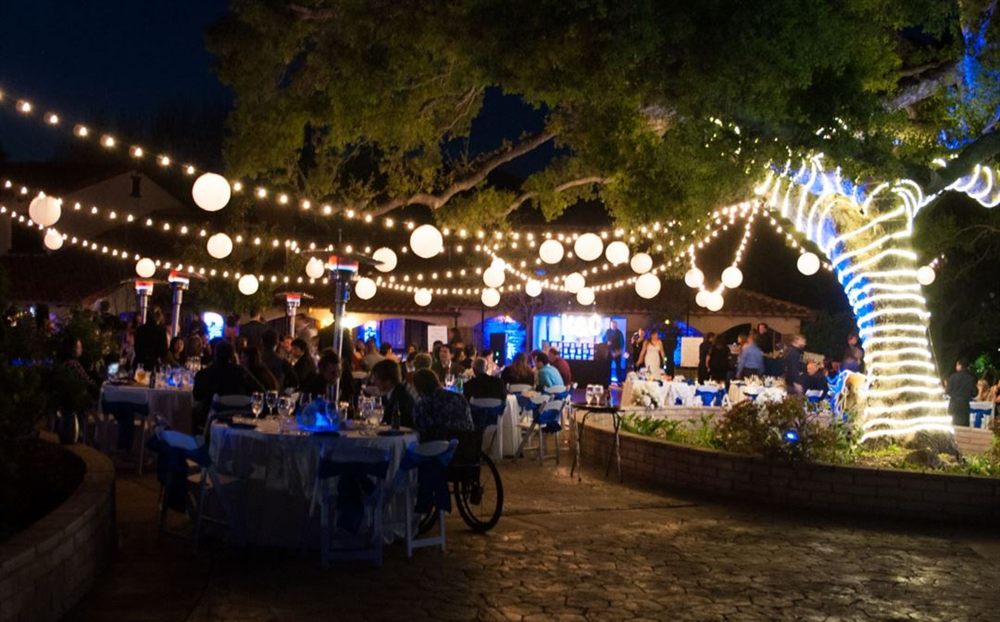 Venue photo 5