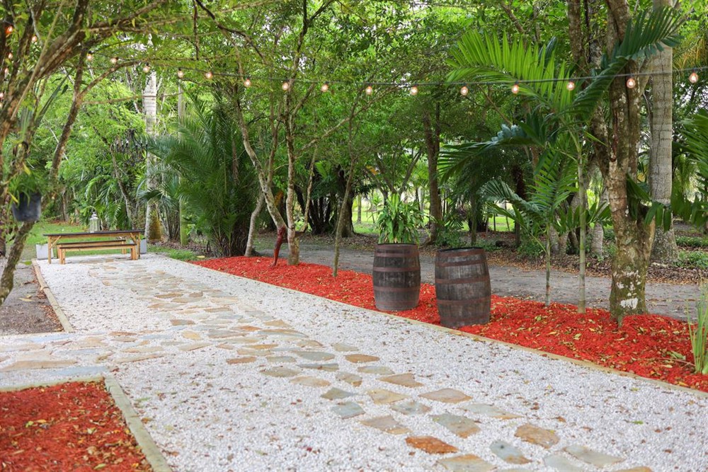 Venue photo 15