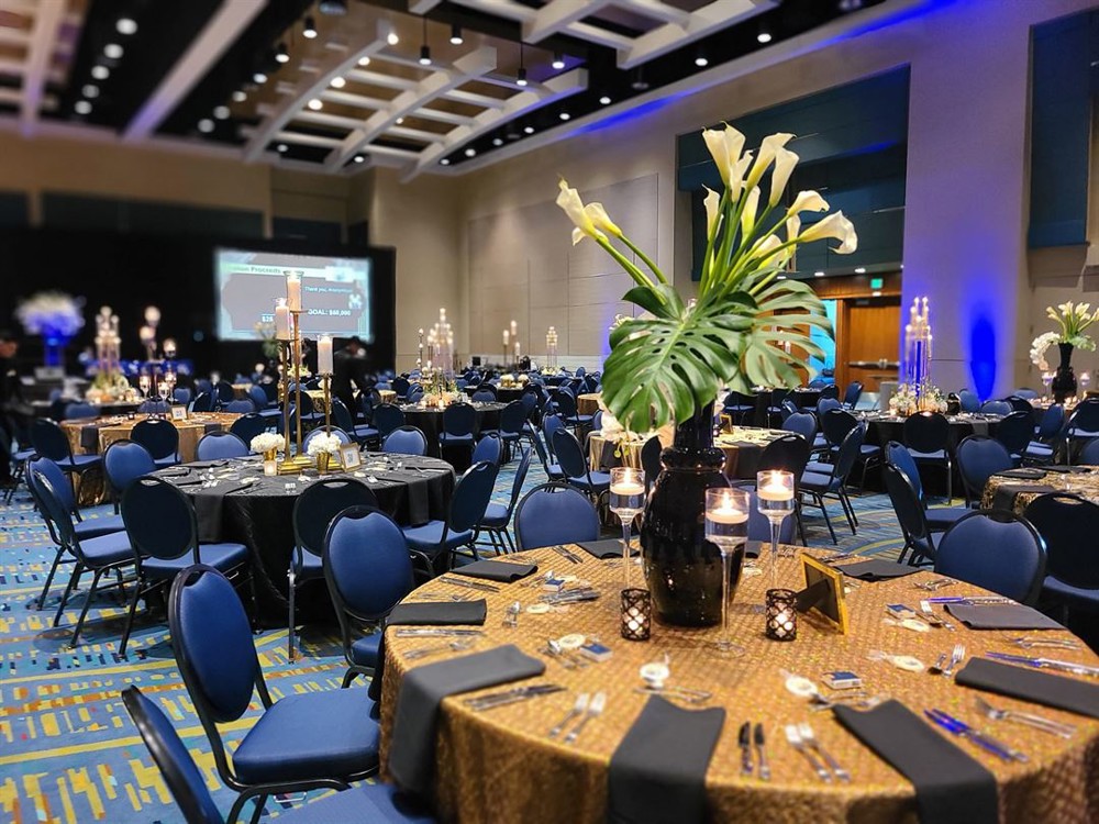 Venue photo 13