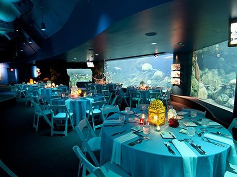 Venue photo 13