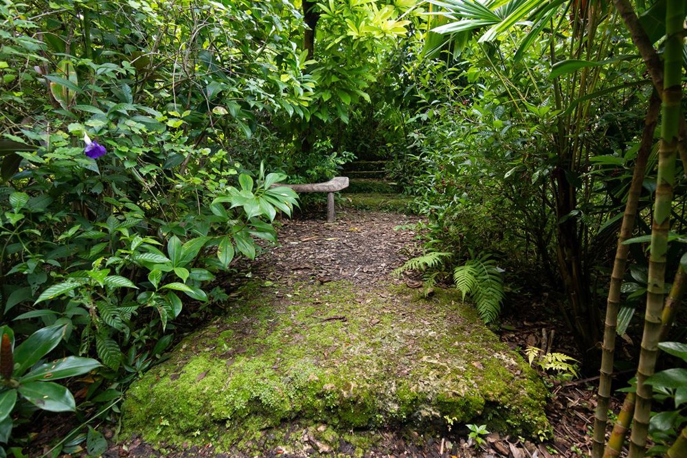 Venue photo 10