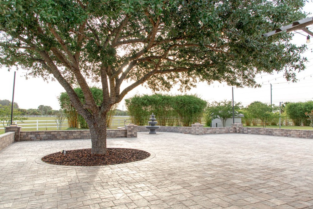 Venue photo 2