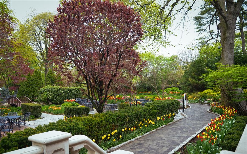 Venue photo 4