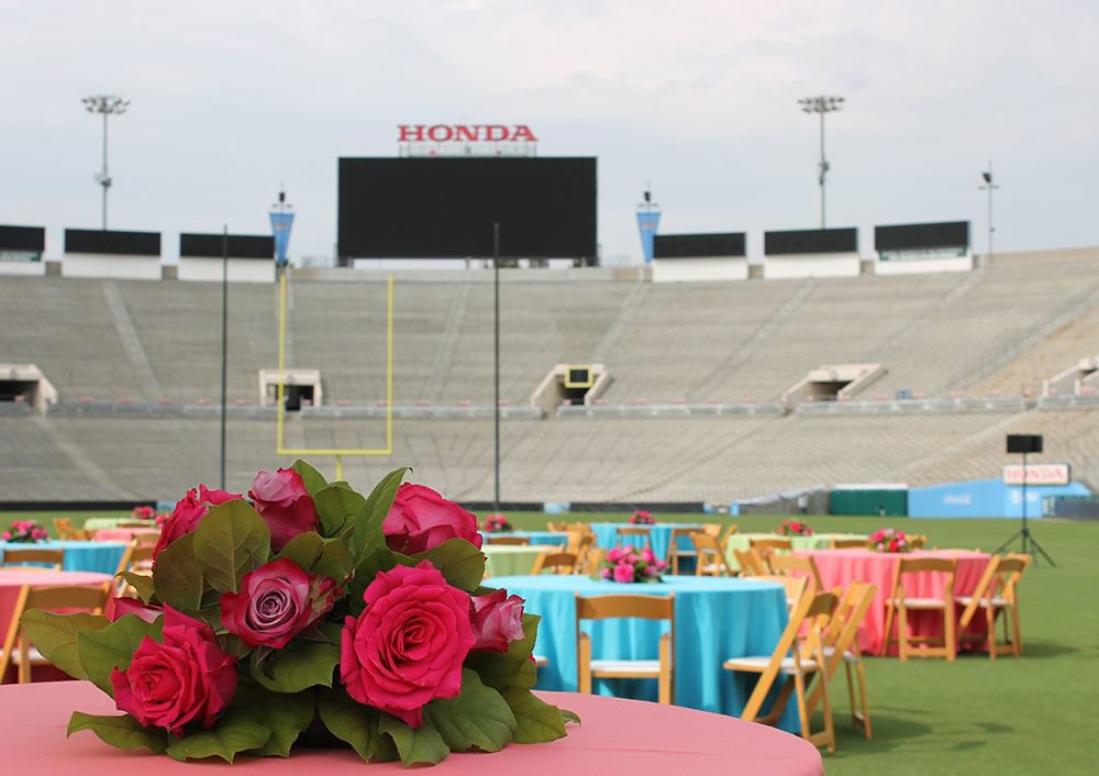 Venue photo 6