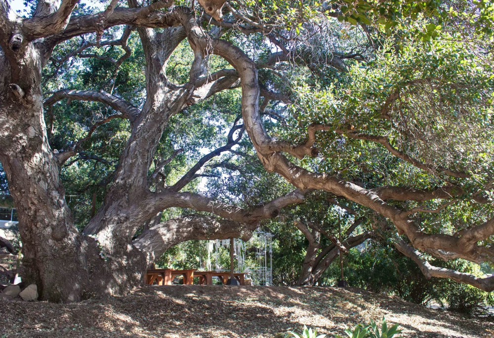 Venue photo 4