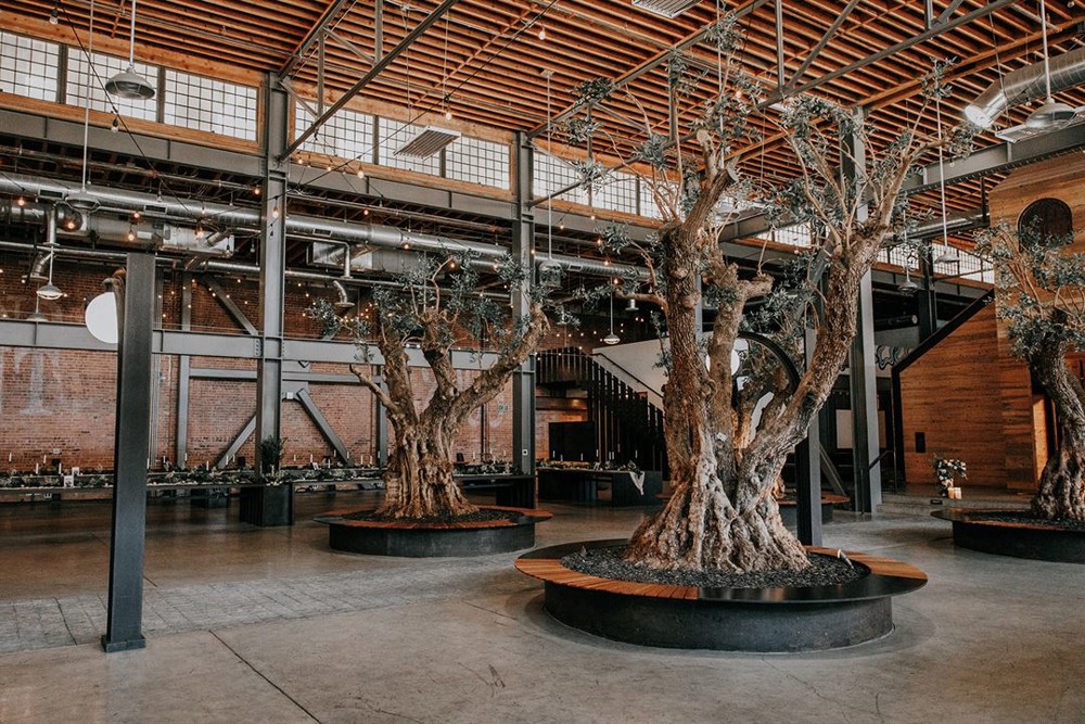 Venue photo 13