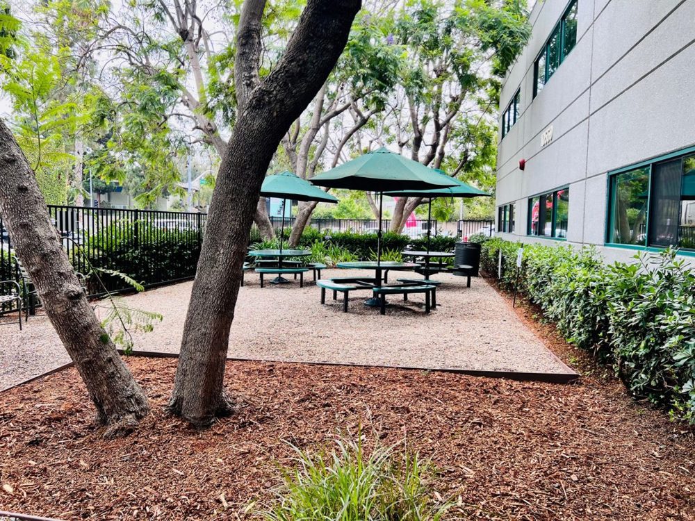 Venue photo 8