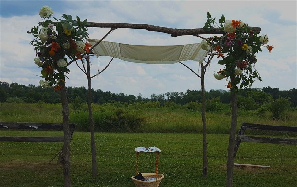 Venue photo 12