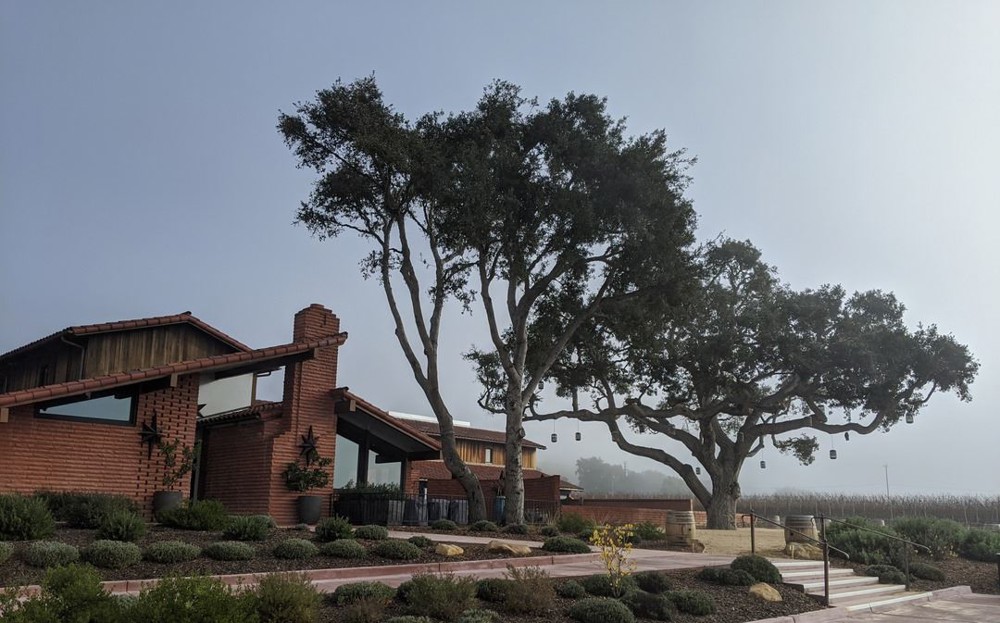 Venue photo 10