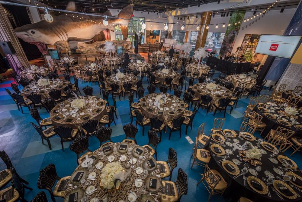 Venue photo 6