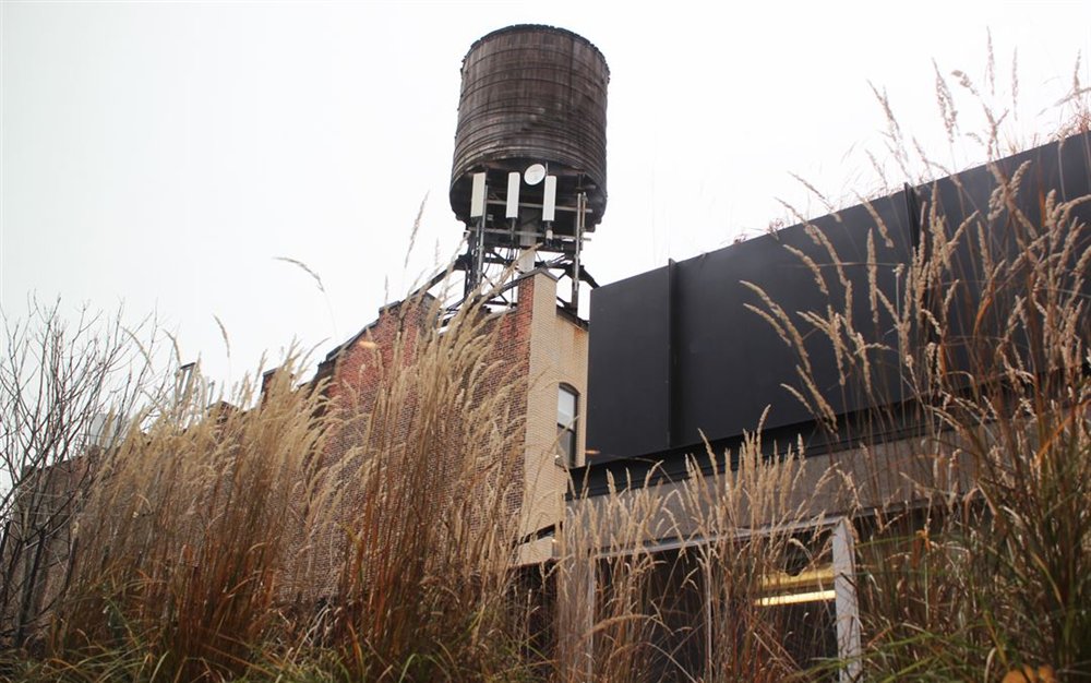 Venue photo 12