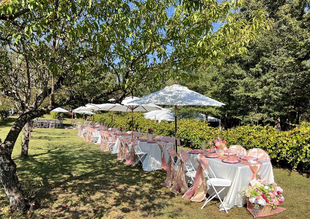 Venue photo 2