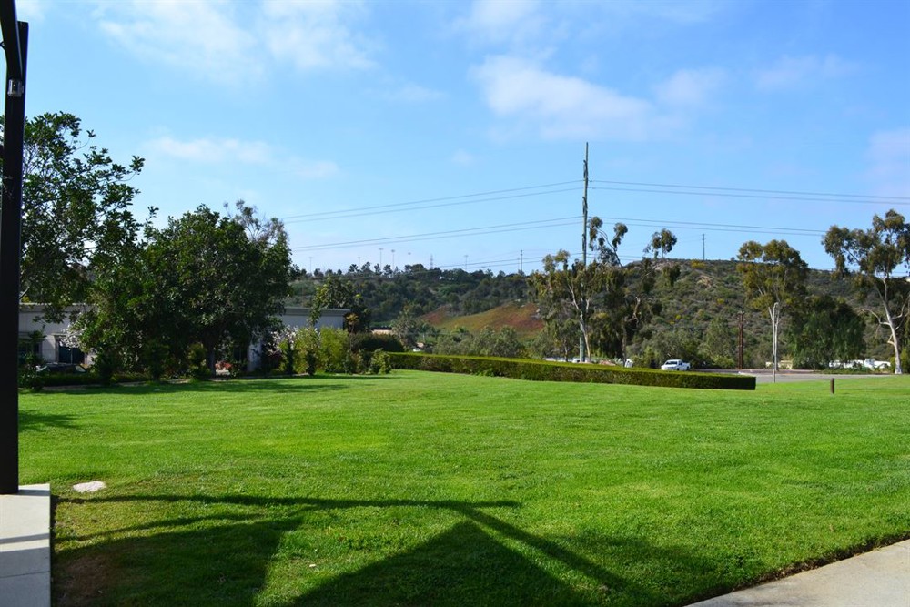 Venue photo 10
