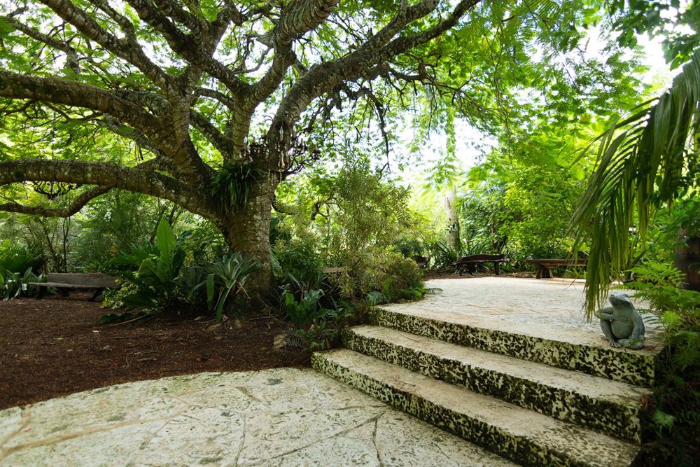 Venue photo 12