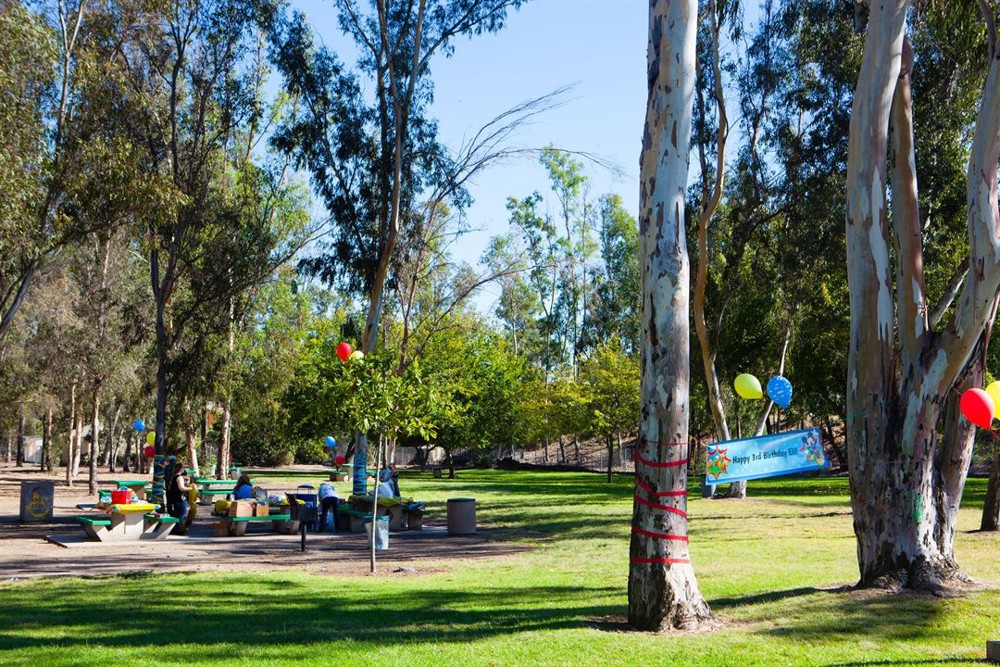 Venue photo 1