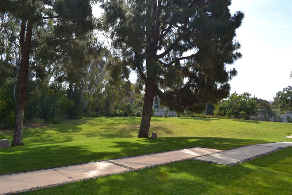 Venue photo 7
