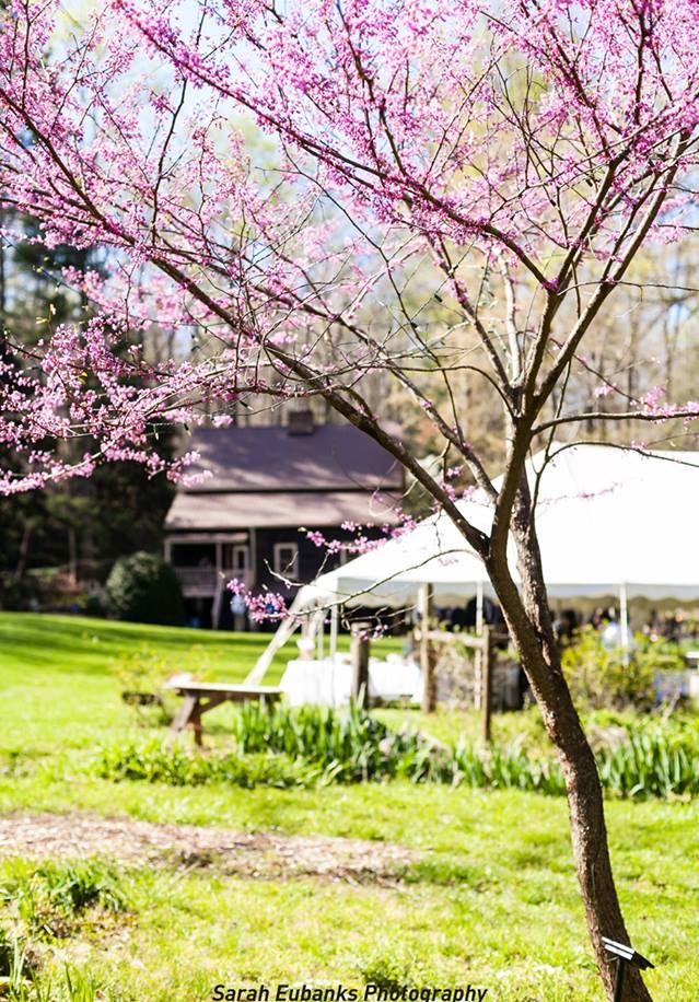 Venue photo 4