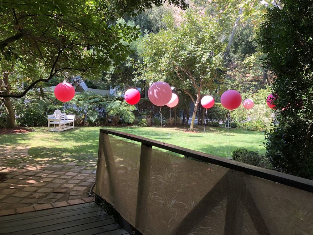 Venue photo 11