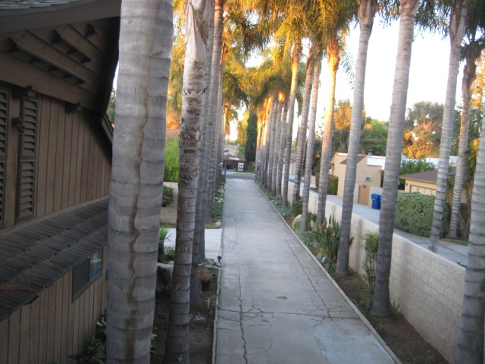 Venue photo 5