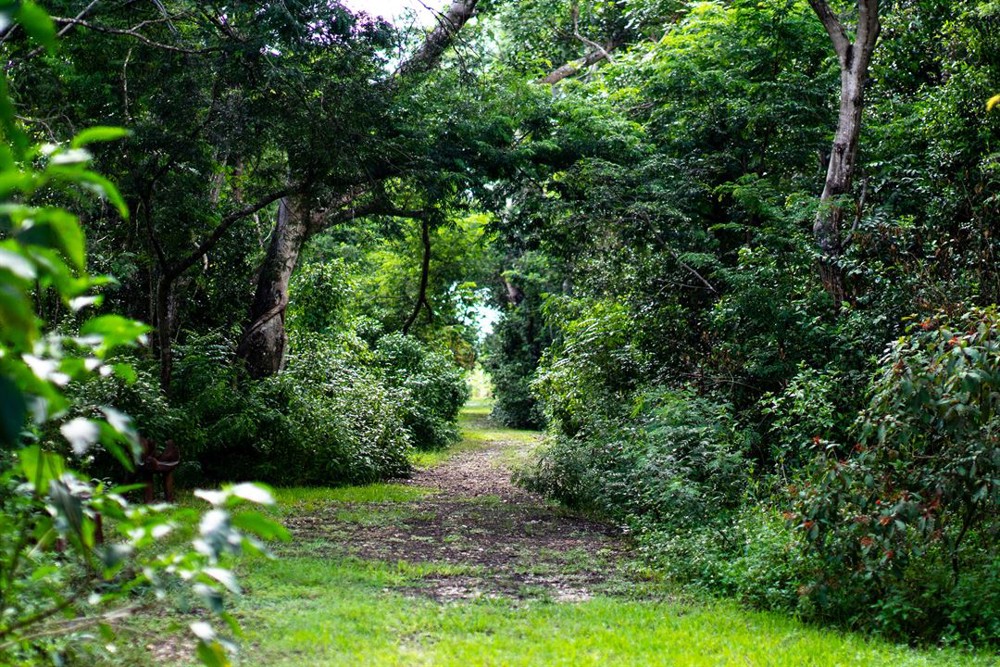 Venue photo 32